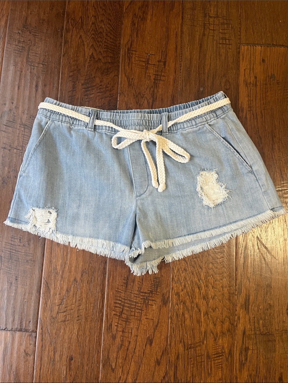 aerie Light Blue Distressed Denim Shorts with Drawstring